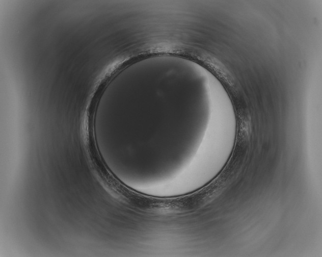 X0000111460678200908031340