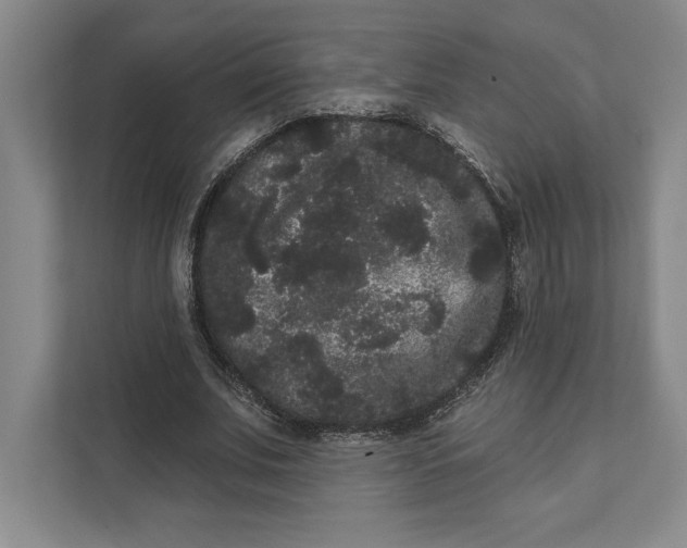 X0000111460679200908031340