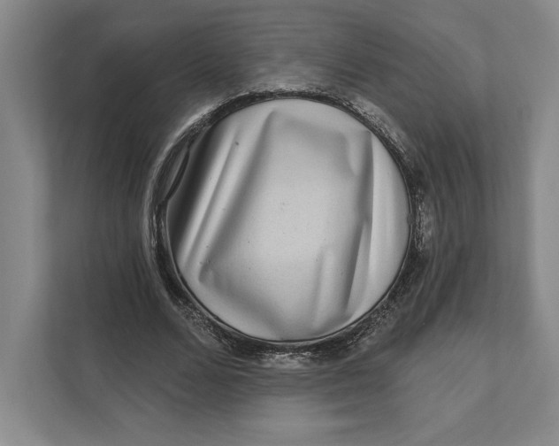 X0000111460680200908031340