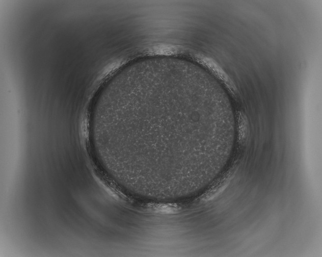 X0000111460683200908031340