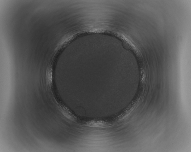 X0000111460685200908031340