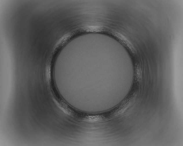 X0000111460686200908031340
