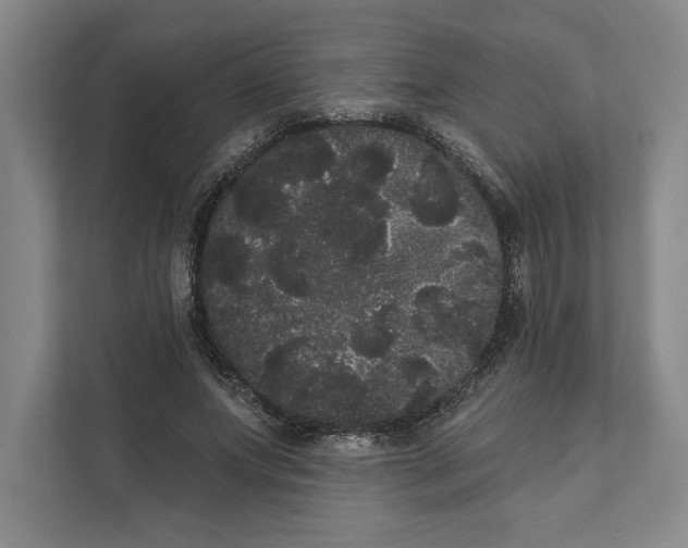 X0000111460687200908031340