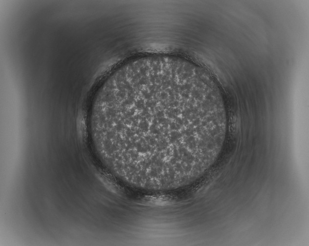 X0000111460688200908031340