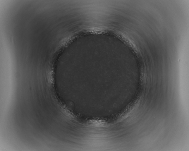 X0000111460689200908031340