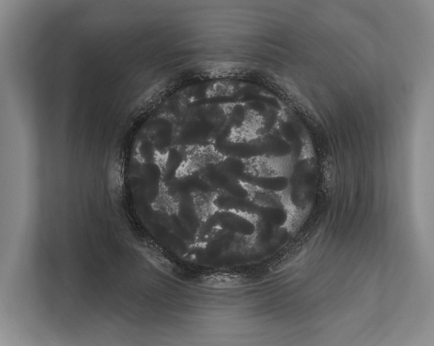 X0000111460691200908031340