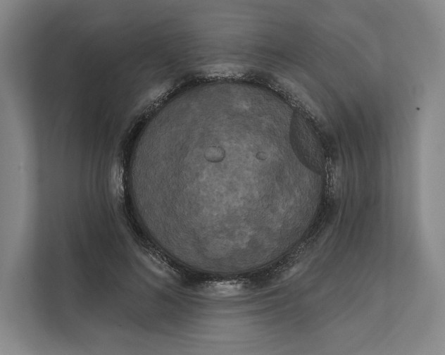X0000111460692200908031340