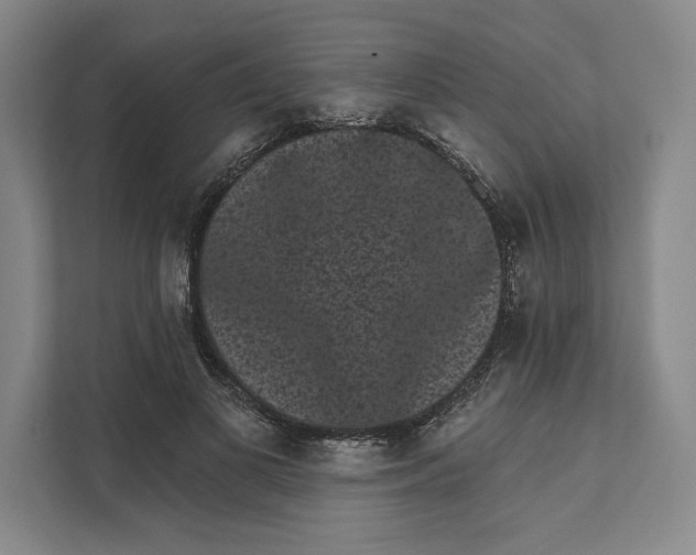 X0000111460693200908031340