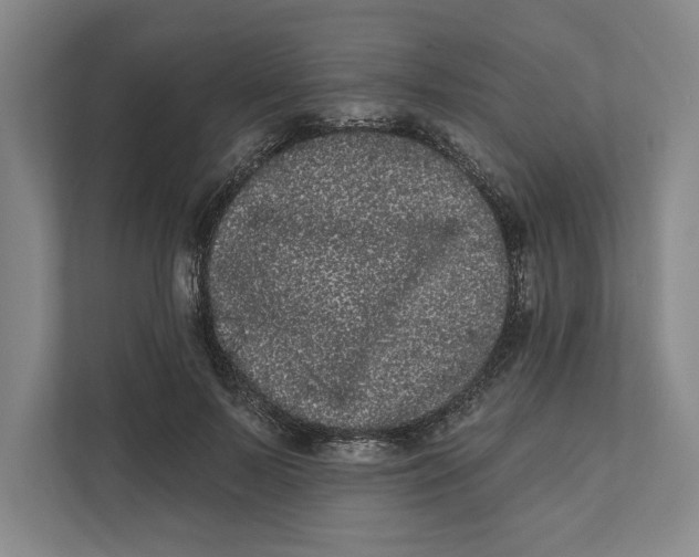 X0000111460695200908031340