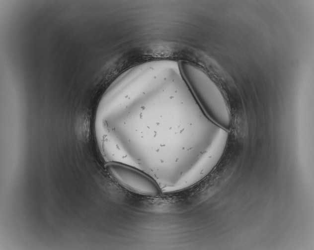 X0000111460697200908031340