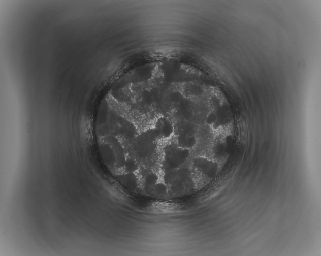 X0000111460699200908031340