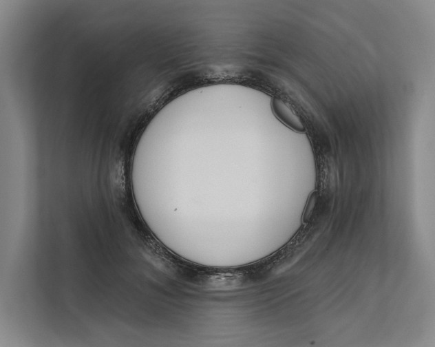X0000111460700200908031340