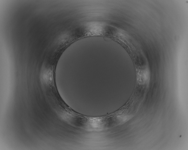 X0000111460701200908031340