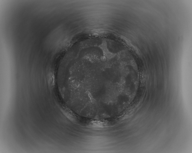 X0000111460703200908031340