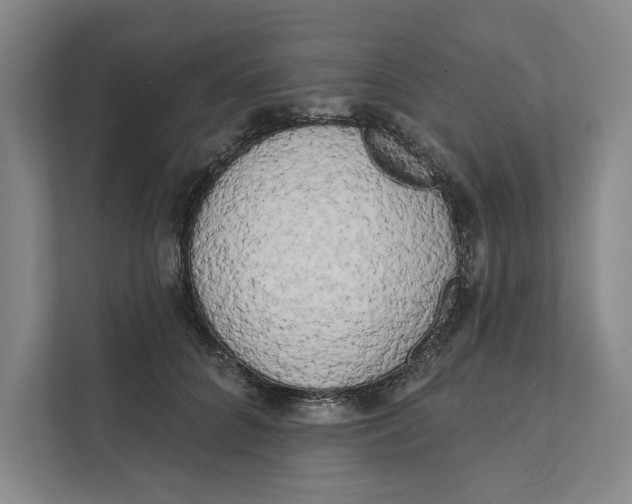 X0000111460704200908031340