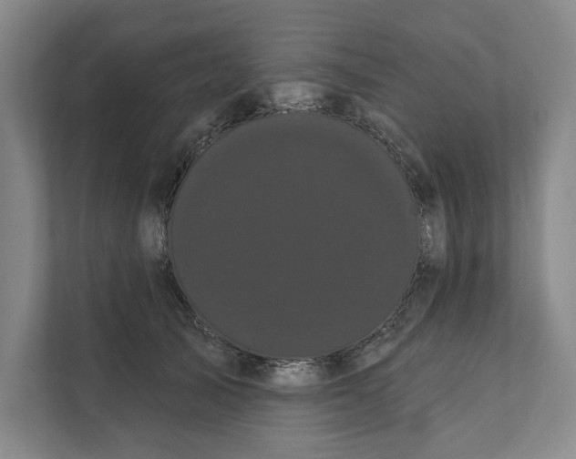 X0000111460705200908031340