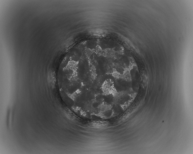X0000111460707200908031340