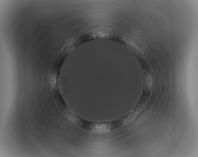 X0000111460709200908031340
