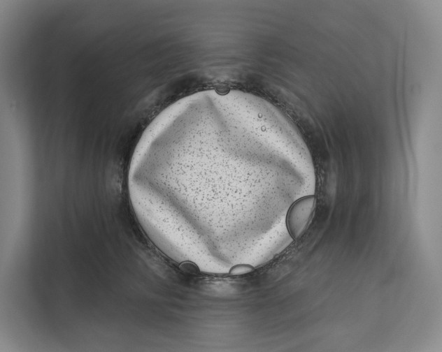 X0000111460710200908031340