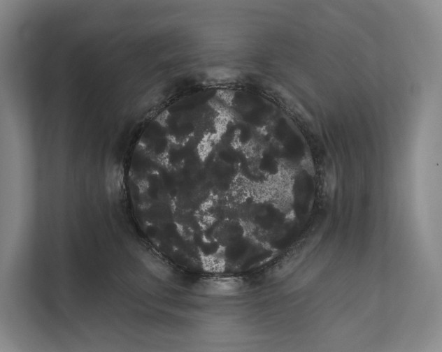 X0000111460711200908031340