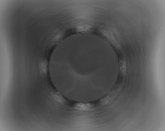 X0000111460712200908031340