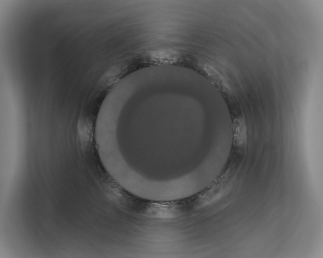 X0000111460713200908031340