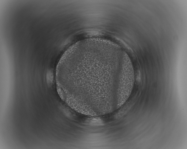 X0000111460715200908031340