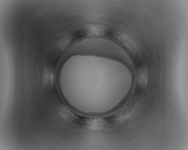 X0000111460716200908031340