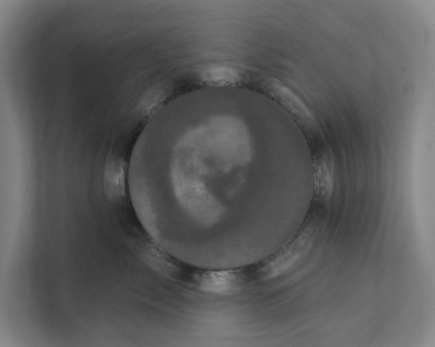 X0000111460717200908031340