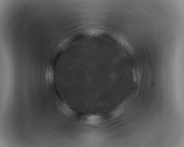 X0000111460718200908031340