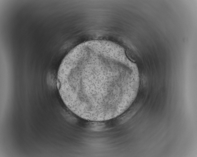 X0000111460719200908031340