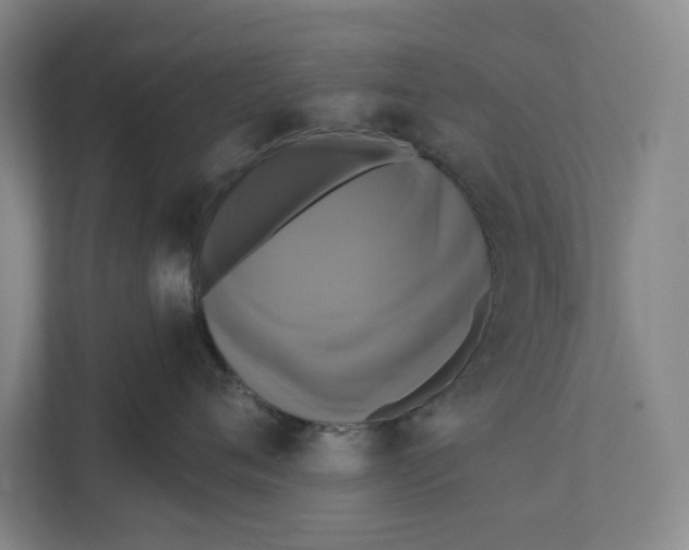 X0000111460720200908031340