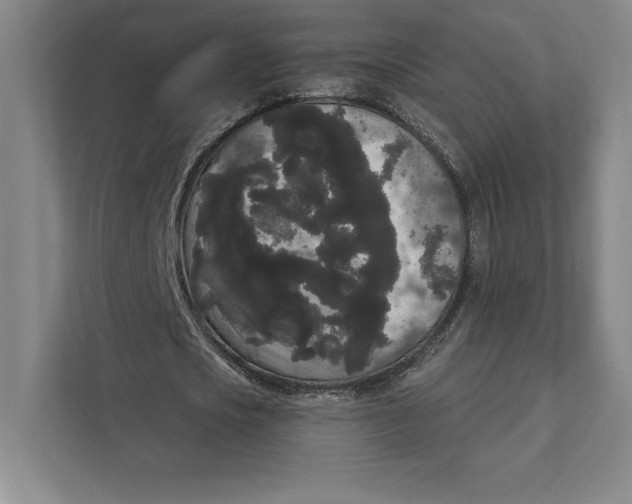 X0000111460721200908031339