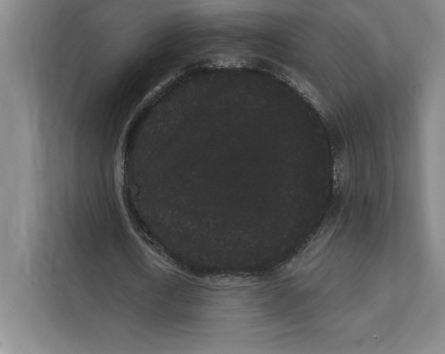 X0000111460722200908031339