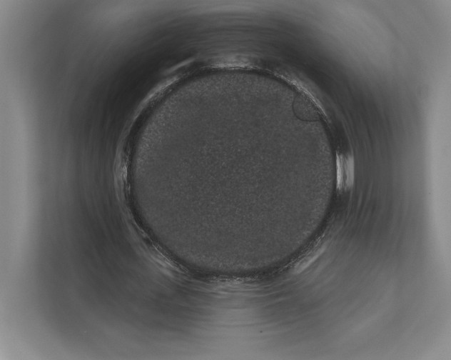 X0000111460723200908031339