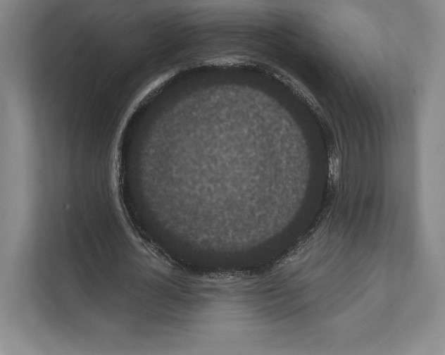 X0000111460724200908031339