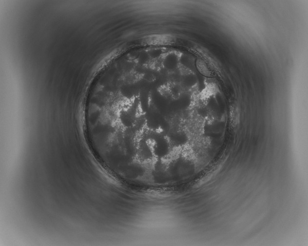 X0000111460725200908031339