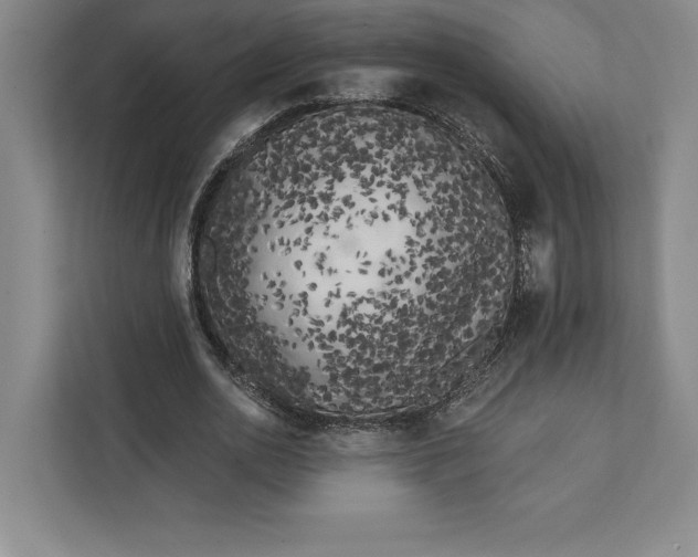 X0000111460726200908031339