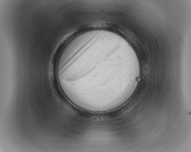 X0000111460727200908031339