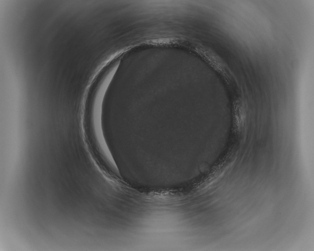X0000111460728200908031339