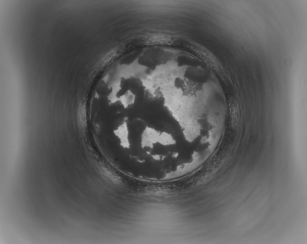X0000111460729200908031339
