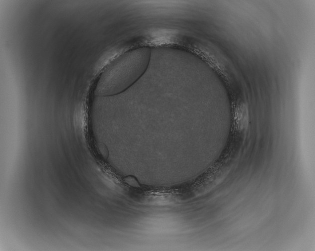 X0000111460732200908031339