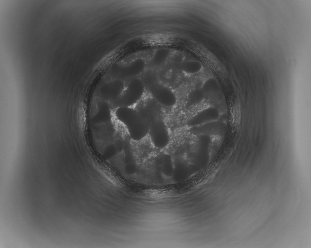 X0000111460733200908031339
