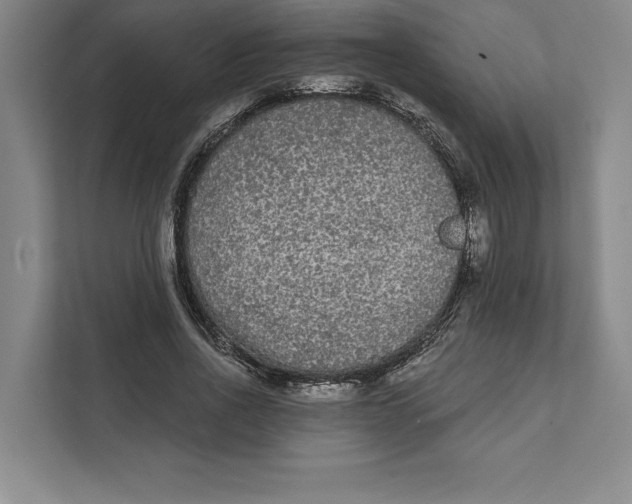 X0000111460734200908031339
