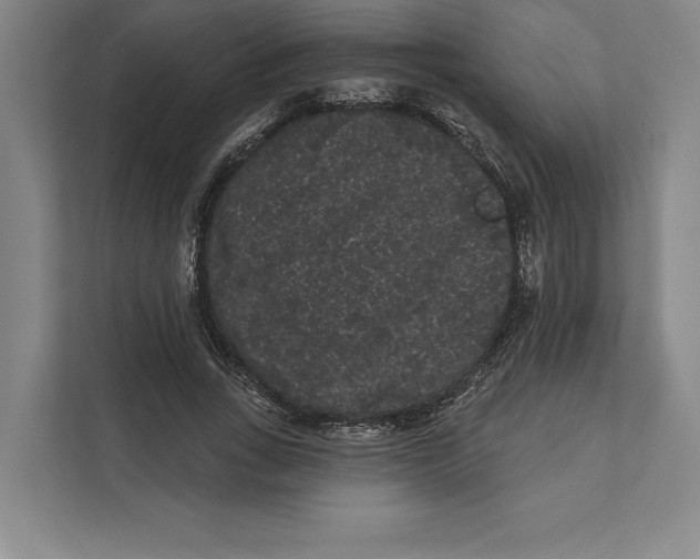 X0000111460735200908031339