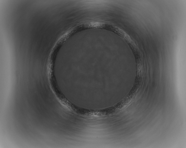 X0000111460736200908031339