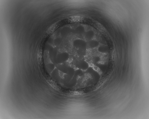 X0000111460737200908031339