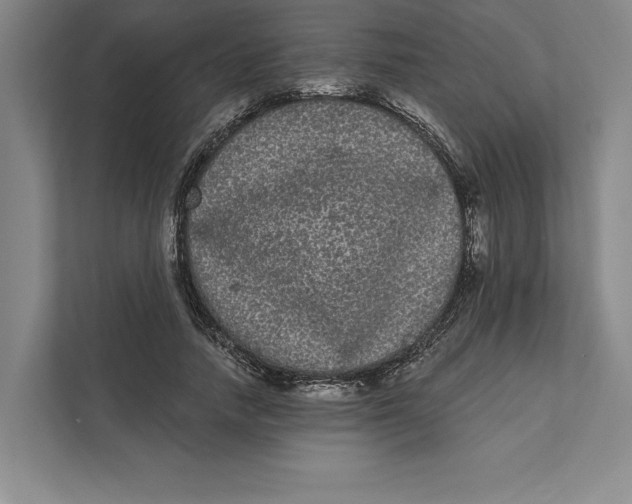 X0000111460738200908031339