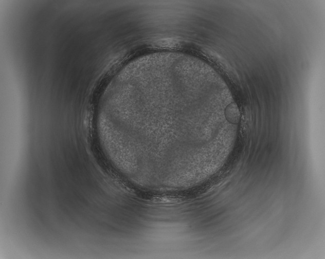 X0000111460739200908031339