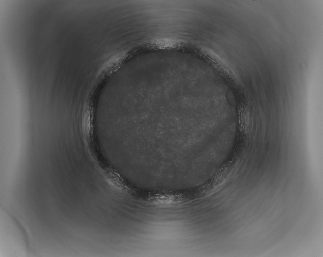 X0000111460740200908031339